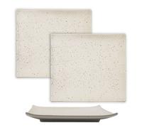 2xPiatto Sushi Piatto da portata in porcellana giapponese 26 x 23,4 x 3,8 cm