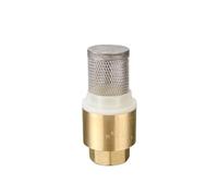 3/4" BSP Female Thread Brass Check Valve With Mesh Strainer Filter Bottom Valve Foot Valve