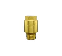 3/4" BSP Male To Female Thread Brass Vertical Lift Spring Check Valve One Way Non-return Valve For Water CBQZCHWDKT