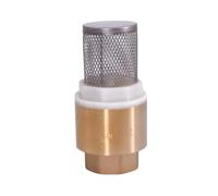 3/4" BSPP Female Brass Check Valve Non-return With Steel Strainer Filter For Water Plumbing