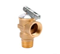 3/4 NPT valvola d'ottone libera per la gestione della pressione in eccesso per i circuiti dello scaldabagno a 150 PSI Valutazione