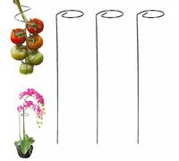 3/5 Pcs Tomato Twist Stake,Spiral Tomato Stakes, Reusable Climbing Plant Stake Tower Plant Supports,Support Tools for The Garden,for Tomatoes Beans,Flowering Vines & Other Climbing Plants (B-3pcs)