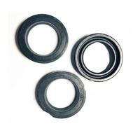 3/6/10PCS Kit di riparazione accessori pompa idropulitrice Guarnizione acqua 15X22X5.5 16X23X5.5 16X26X5 18X25X5.5 18X26X5 18X26X6MM-15X22X5.5-6PCS