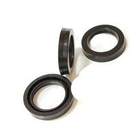 3/6/10PCS Kit di riparazione accessori pompa idropulitrice Guarnizione acqua 15X22X5.5 16X23X5.5 16X26X5 18X25X5.5 18X26X5 18X26X6MM-18X26X5-6PCS