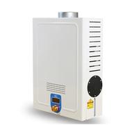 3.6L RV Tankless Water Heater, Portable Diesel Water Heater, 4LPM, LCD Display, 0.2-0.6 MPa, 6 Gear Modes, Smart Control, 1L/H Fuel Consumption, Camping Use