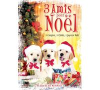3 amis pour noël