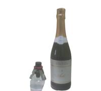 3 ASTI Tenimenti CA' BIANCA DOCG cl75 Bt +3 TAPPI Salva-Spumante RENOIR 9% SCONT