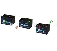 3 BATTERIE CB13-12C NUOVE ORIGINALI UNIBAT 12V13AH PER MONOPATTINI ELETTRICI