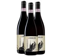 3 Bottiglie Colle Cavalieri Montepulciano d'Abruzzo DOP Cantina Tollo, Rosso Rubino, 100% Montepulciano, 13% Alcol, 750 ml