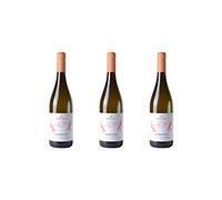3 Bottiglie di Chardonnay Marca Trevigiana IGP"Solicum" | Cantina Colli del Soligo | Annata 2018