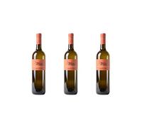 3 Bottiglie di Friulano DOC dei Colli Orientali del Friuli | Cantina Petrucco | Annata 2017