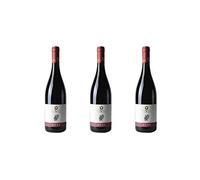 3 Bottiglie di Pinot Nero DOC"Rubé" | Cantina Paravella | Annata 2017