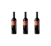 3 Bottiglie di Refosco dal Peduncolo Rosso DOC | Cantina Petrucco | Annata 2016