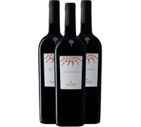3 Bottiglie Intimo Rosso Colline Pescaresi Bio IGT 750 ml | Montepulciano e Merlot, Alcol 14,5%, Biologico, Annata 2024, Abbinamento Formaggi