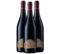 3 Bottiglie Marina Cvetic Montepulciano d'Abruzzo DOC Riserva 2020 Masciarelli, Rosso Rubino, 14,5% Vol, 750 ml, Affinato in Barrique