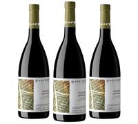 3 Bottiglie Traminer Vino Bianco Friuli Berto & Fiorella Baccichetto vino bianco 3x75cl