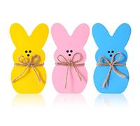 3 Colori Coniglietto Pasquale Coniglietti Pasquali con Corda Segni di Legno Coniglietto di Pasqua Ritagli di Legno di Pasqua Fai da Te per Decorazioni da Scrivania