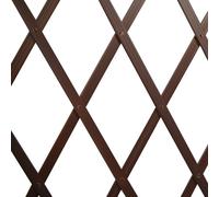 [3 COLORI] Traliccio Giardino Estensibile Rete Piante Rampicanti PVC 100x200 Cm
