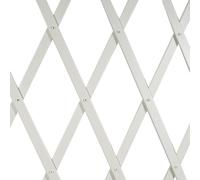 [3 COLORI] Traliccio Giardino Estensibile Rete Piante Rampicanti PVC 100x200 Cm