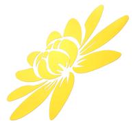 3 D Adesive Murali Adesivi Decorativi Da Parete Decalcomanie Muro Acrilici