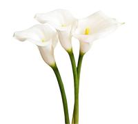 3 fiori artificiali di giglio di cala da 67 cm di fiori artificiali di seta finti bouquet di piante a stelo lungo,per casa,tavolo da pranzo,ufficio,feste di nozze,decorazione da giardino (bianco)