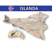 3 Kg | Baccalà ISLANDESE SECCO ALI BIANCHE SUPERIOR ( Gadus Morhua )