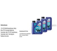 3 L Liqui Moly Marine 4T Olio Motore 15W-40 Motorrad Minerale API SL