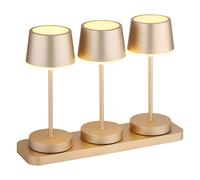 3 lampade da tavolo a LED RGBW con dimmer touch, effetto fuoco champagne, telecomando, IP54