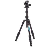 3 Legged Thing Punks Corey 2.0 con Airhed Neo 2.0 scuro