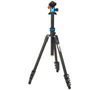 3 Legged Thing Punks Patti 2.0 + AirHed Blu + nero