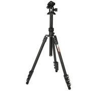 3 Legged Thing Punks Patti 2.0 + AirHed Il buio