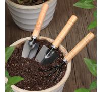 3 mini attrezzi da giardino, kit di attrezzi da giardinaggio per la cura delle piante grasse, pianta d'appartamento con paletta, cazzuola, rastrello