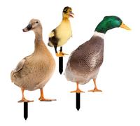 3 Pcs Decorazione Del Prato Decorazioni Per Le Poste Da Giardino