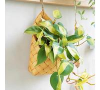 3 Pcs Farmhouse Decor Hanging Basket Ceste Portaoggetti Cestino Da Parete