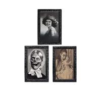 3 pcs Halloween 3D Lenticular Magic Moving Picture Frames - Changing Face Portrait Horror Decoration for Haunted Spooky Themed Parties - 38 X 25 cm
