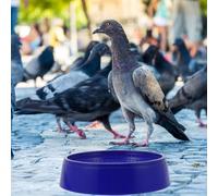 3 Pcs Incubatrice Per La Schiusa Degli Uccelli Nido Di Riproduzione Dormiente