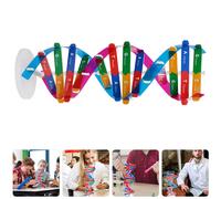 3 Pcs Kit Per Costruire Dna Strumento L'insegnamento Delle Scienze