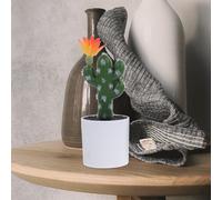 3 Pcs Pianta Artificiale Piantina Finta Decorazione Di Piante Finte