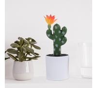 3 Pcs Piantina Finta Pianta Bonsai Ornamento Di Cactus Arredamento