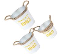 3 Pcs Vasetti Per Fiori Secchio Metallo Di Portatile Cestino Fioriera