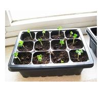 3 pezzi 18x14x6cm Vassoio per germogli Piatto per germogli 12 celle Vassoi per