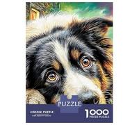 3 Pezzi Autumn Dogs Set Di Biancheria Da Letto Con Stampa 3D in Microfibra Con Chiusura A Strappo Border Collie in Blooms Per Tutte Le Stagioni Per Ragazzi E Ragazze 70x50cm/1000pcs