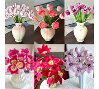 3 pezzi bulbi di tulipani perenni resistenti - in inverno per balconi, esotici resistenti, Los bulbos de son perennes,