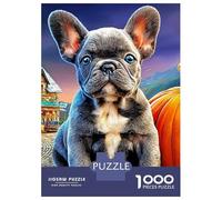 3 Pezzi Bulldog Set Di Biancheria Da Letto Con Stampa 3D Morbida Microfibra Con Chiusura A Strappo Dog with Pumpkin Per Tutte Le Stagioni Per Bambini,Ragazzi E Ragaz 38x26cm/1000pcs