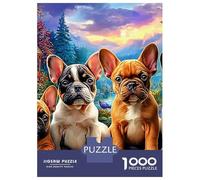 3 Pezzi Bulldog Set Di Biancheria Da Letto Stampa 3d in Microfibra Con Chiusura A Strappo Three Dogs on Street Decorazione Per La Camera Da Letto Per Ragazzi E Ragazze 70x50cm/1000pcs