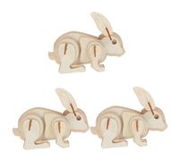 3 Pezzi Easy Assembly Diy Animal Model For Creative Coloring Craft For Parent Child Interaction And Imaginative Play