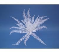 3 pezzi - Felce Boston Bianca Artificiale EUROPALMS - 60 cm, Ideale per Decorazi