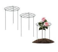 3 pezzi gabbie peoniche e supporta il supporto delle piante in palio pratico