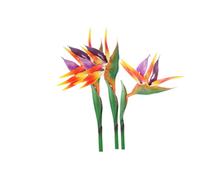 3 pezzi grandi uccelli del paradiso 73,7 cm,fiori permanenti Strelitzia imitando piante tropicali,parte floreale realizzata in PU,piante artificiali per casa e ufficio,stelo fiore 0,8 cm(arancione)
