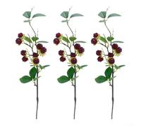 3 pezzi per steli di lampone per artigiani, fioristi, organizzatori di eventi, insegnanti e piccole imprese esigenze di styling display